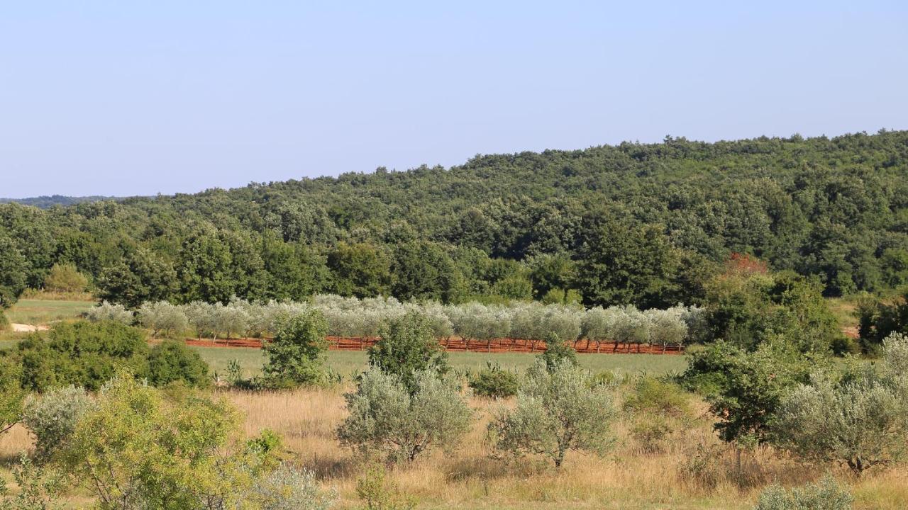 Casa Conte Istria Villa Kanfanar Eksteriør bilde