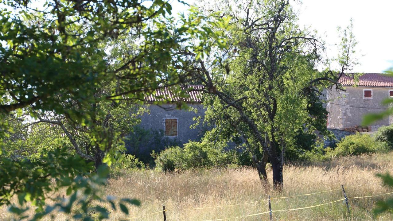 Casa Conte Istria Villa Kanfanar Eksteriør bilde