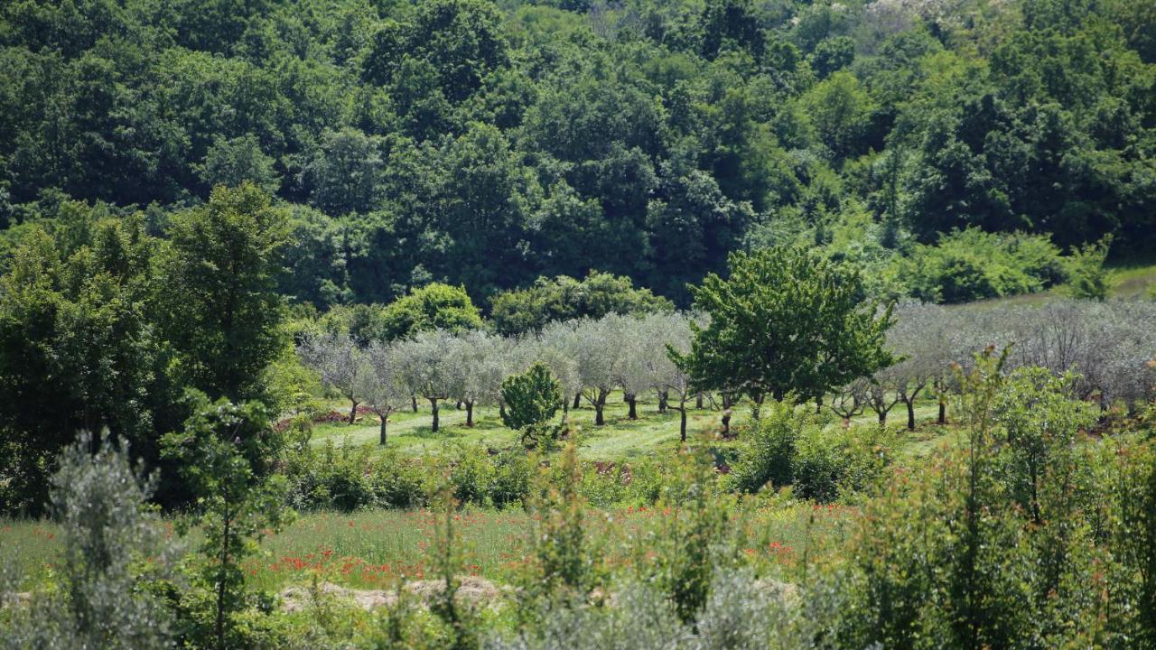 Casa Conte Istria Villa Kanfanar Eksteriør bilde